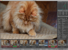 FastRawViewer Immediate Presentation of a RAW File
