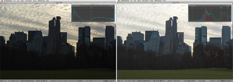 FastRawViewer. Central Park NYC. Shadow Boost